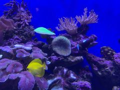 -青岛海底世界-水族馆