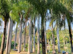 -中国科学院西双版纳热带植物园
