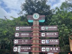 -西双版纳原始森林公园