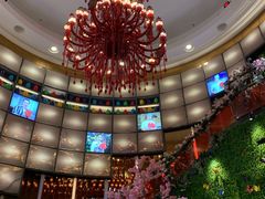 -自助火锅筷乐食代自助餐厅(金辰店)