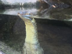 -可伦宾野生动物保护区