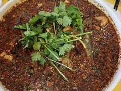 -胖大姐黄辣丁鱼庄(新津店)