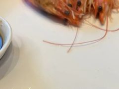 -都市阳光海鲜城(青山湖店)