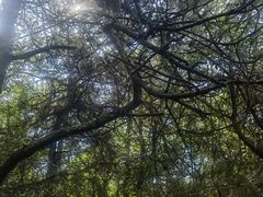 -云南野生动物园