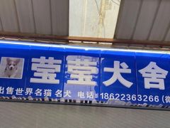 -中环花鸟鱼虫市场