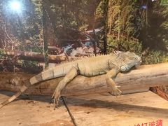 -多彩贵州城极地海洋世界