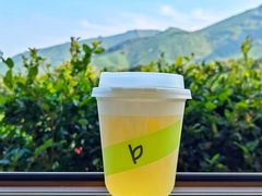 安吉白茶奶盖-白茶原·一片叶子
