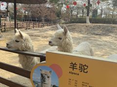 -盈香心动乐园