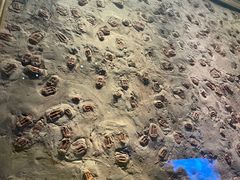 -湖南省地质博物馆