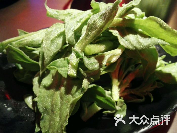 左庭右院鲜牛肉火锅(环球港店)冰草图片 - 第10494张