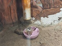 -正佳雨林生态植物园