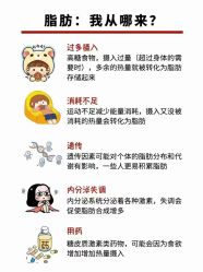 -丽减美瘦吧·减肥瘦身
