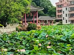 -长洲岛