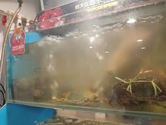 -七欣天香辣蟹火锅(万润龙河店)