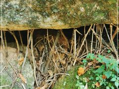 -五女峰国家森林公园