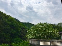 -浙江宾馆·花园餐厅·自助餐厅·茶吧