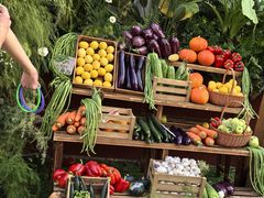 -蘑界·野生菌火锅(深业上城店)