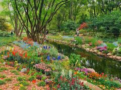 -上海共青森林公园