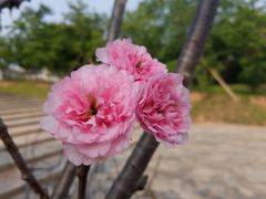 -广东工业大学(大学城校区)