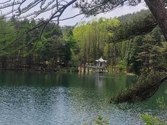 -四明山国家森林公园
