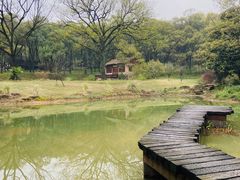 -杭州植物园