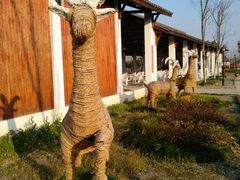 -杭州湾海上花田景区