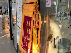 -瑞派天使宠物医院·神经外科·骨科·核磁(洛川中路店)