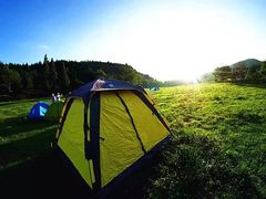 -武陵山森林公园