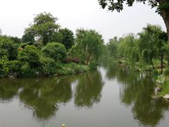 -鹅湖玫瑰文化园