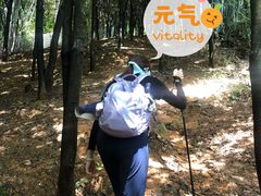 -广州市帽峰山景区