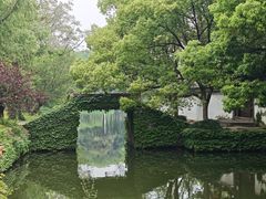 -鲁镇