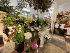 -知物癖(牛王庙店)