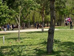 -长春公园(普阳街道)