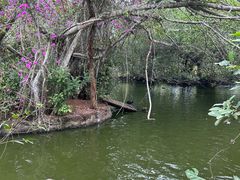 -海南热带野生动植物园