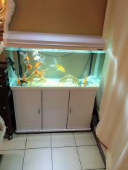 A0A7667F917292C087A85583DDB7DD4A-构想时尚发型会所