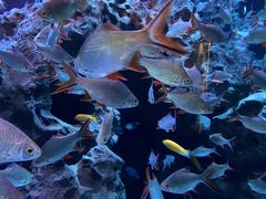 -成都浩海立方海洋公园