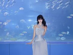 -重庆欢乐海底世界
