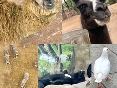 -鄂尔多斯野生动物园