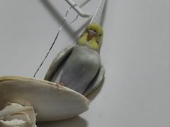 -ROBAM老板电器(上海总部)