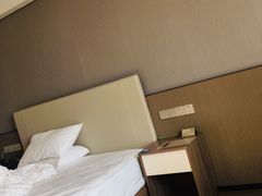 -深圳国际会展中心希尔顿酒店(前海华发冰雪世界店)