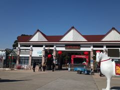 -上海都市菜园