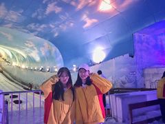 -世界之窗阿尔卑斯冰雪世界