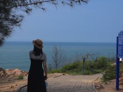 -广东惠东海龟国家级自然保护区