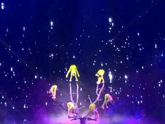 -水秀国际大剧院