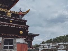 -塔尔寺菩提树