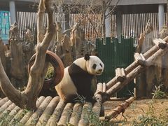 -大连森林动物园