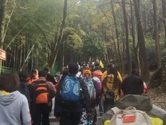 -灵岩山风景区