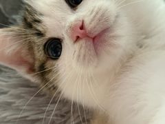 -宠颐生汉谟拉比宠物医院