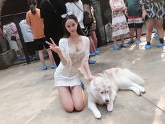 -TrueLove @ Neverland (Husky Cafe)