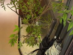 -涟LIAN·泰式按摩·MASSAGE·SPA(深业上城店)